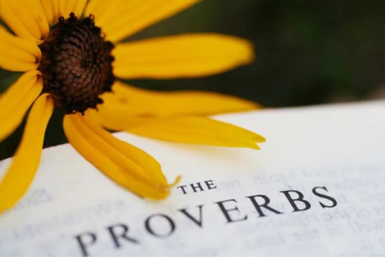 Proverbi inglesi: alla scoperta della saggezza britannica